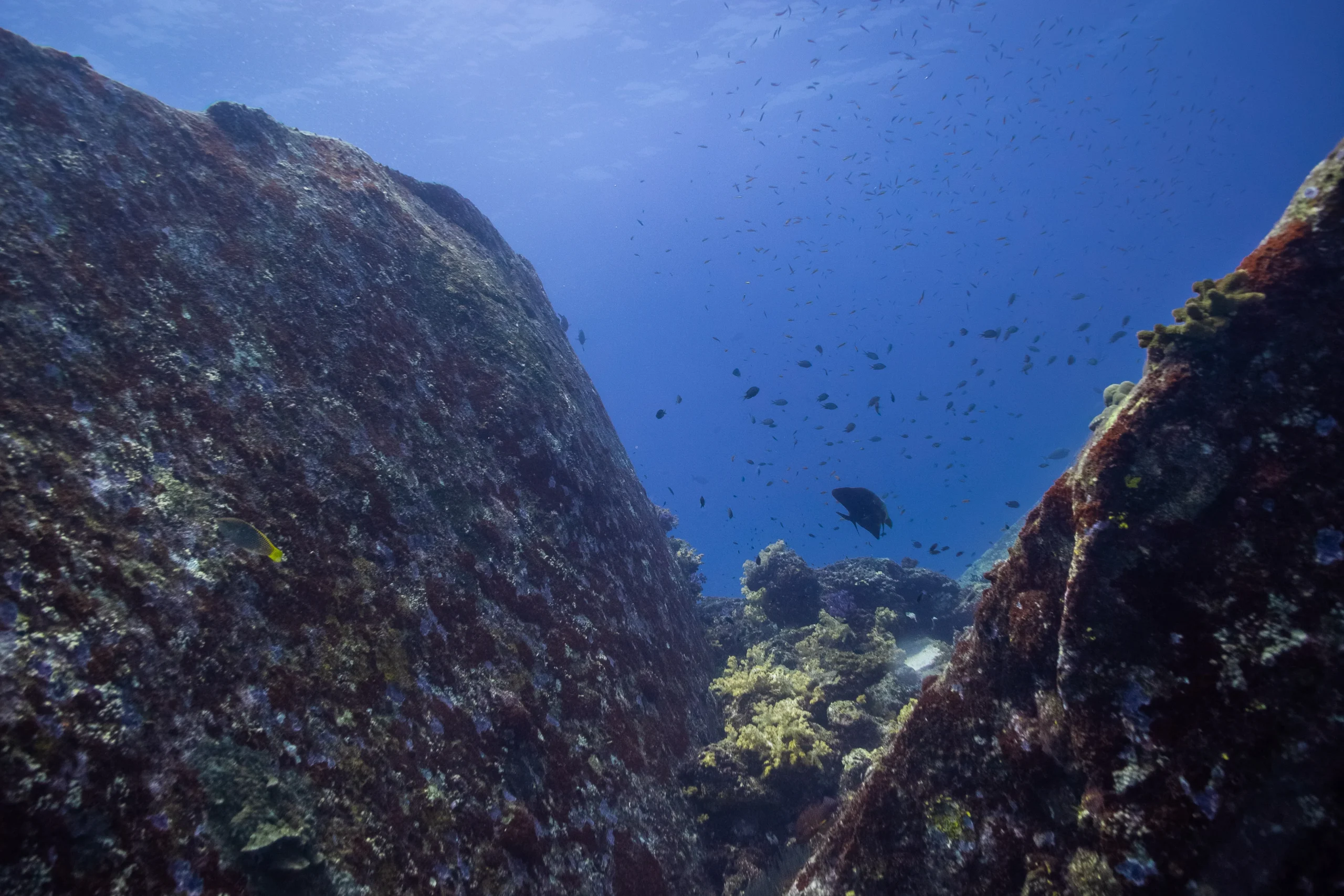 Koh Tachai Pinacle divesite Similan Islands