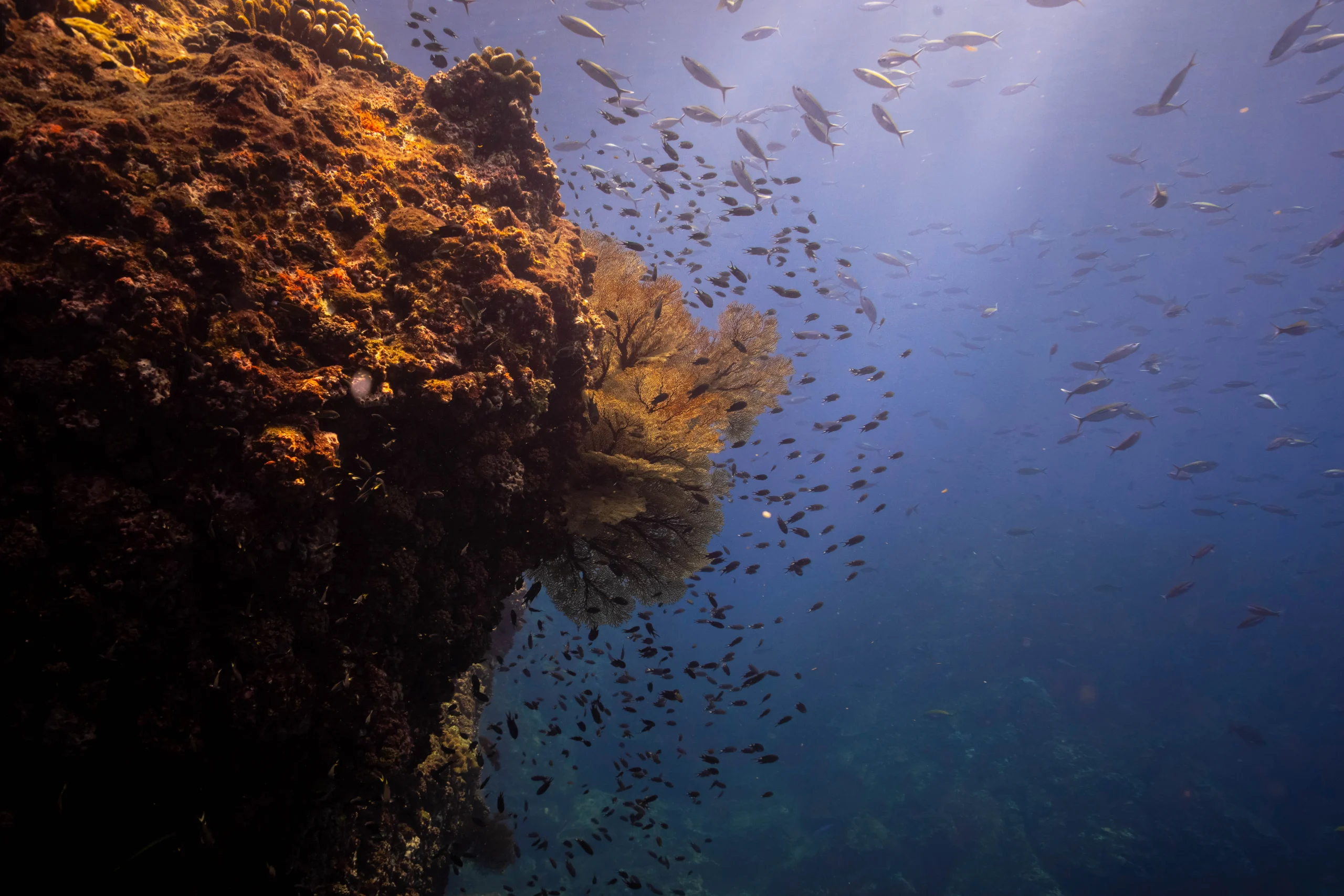 Richelieu Rock divesite Khao Lak