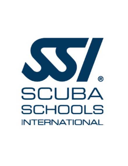 SSI logo blue