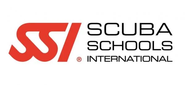 SSI logo
