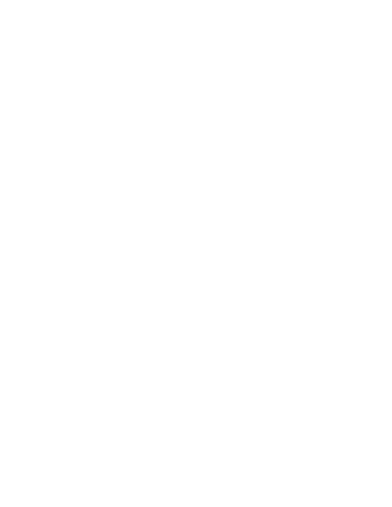 SSI logo white