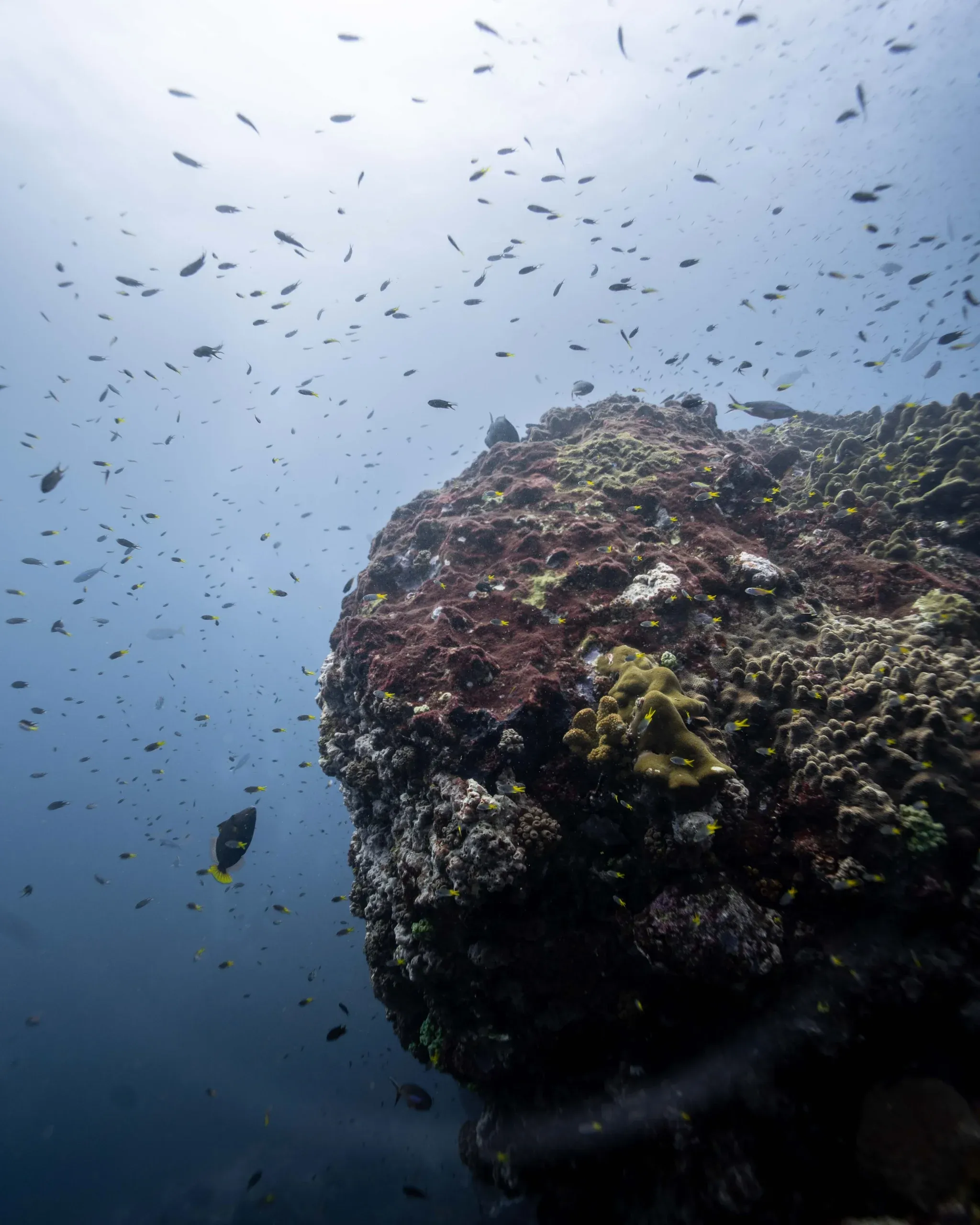 Similan Islands